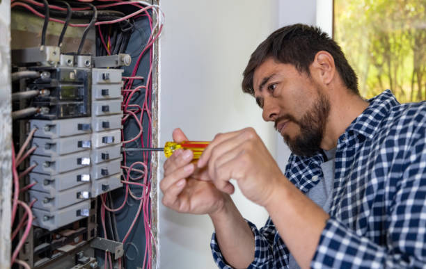 Best Electric Panel Repair  in Altamont, IL